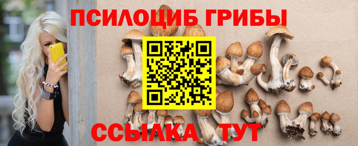 Галлюциногенные грибы Psilocybe  цены   Братск  Вход с VPN  Галлюциногенные грибы мухоморы 