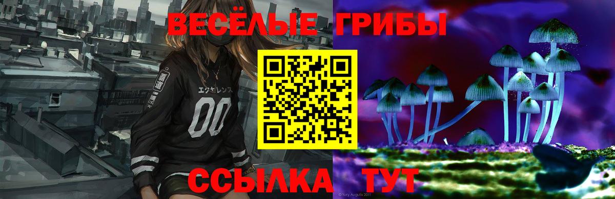 Псилоцибиновые грибы прущие грибы Братск
